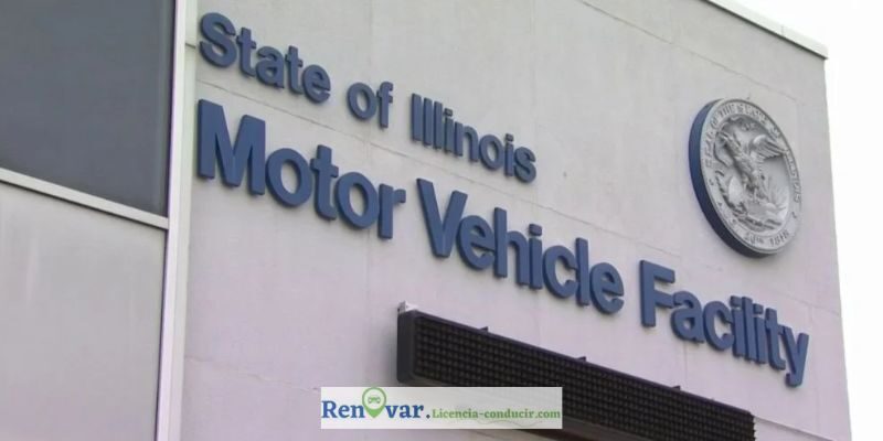 renovacion licencia de conducir en illinois