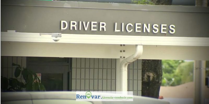 RENOVAR LICENCIA DE CONDUCIR MIAMI